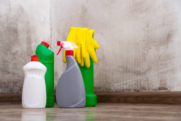 Mold Remediation for Rental Properties in Lake St Louis, MO